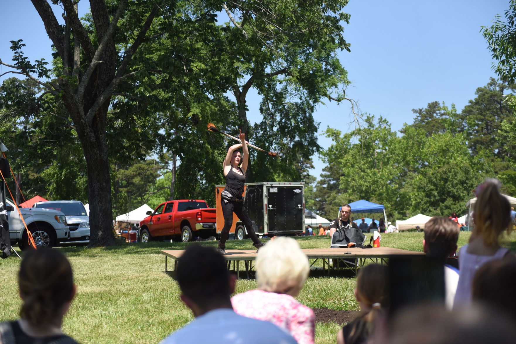 Festival in the Park